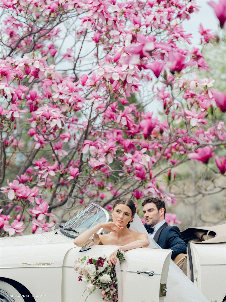 How REFINED Co Presets Can Help You Edit A Variety of Colors In One Image